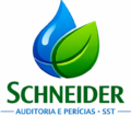 Schneider Auditorias e Per&iacute;cias – SST